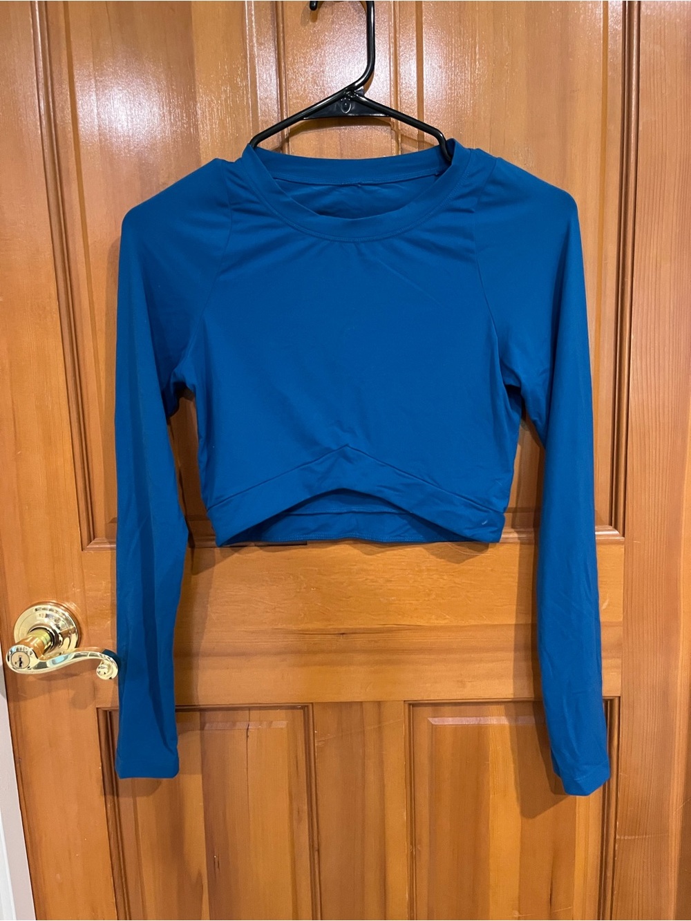 Alphalete Teal-Blue Long Sleeve Cropped Athletic Top
